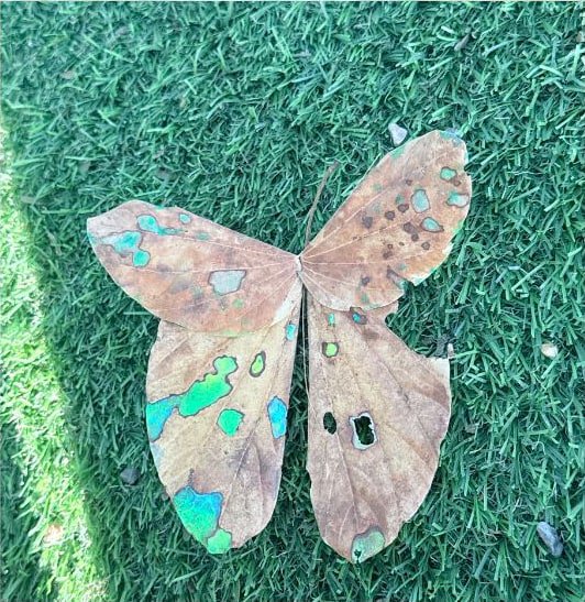 Leaf form with reflective color on grass.