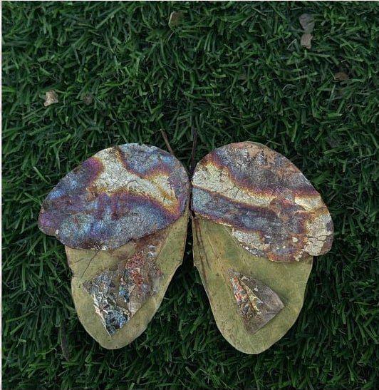 Paired leaves with iridescent surface detail.