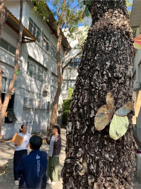 Tree bark, leaf forms, and the outdoor installation atmosphere.