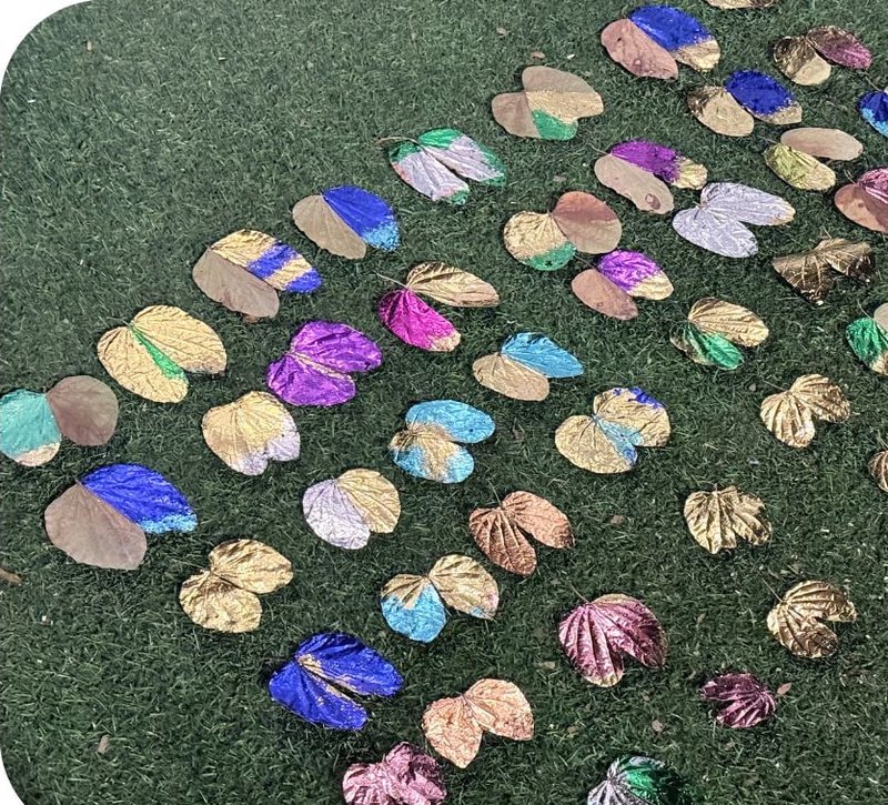 Arranged leaf forms on grass.